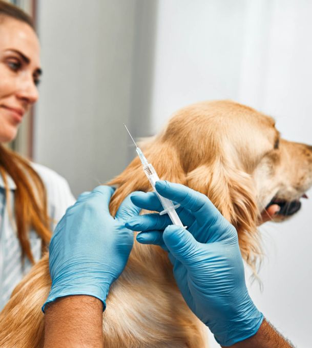 Vacunas y prevención veterinaria